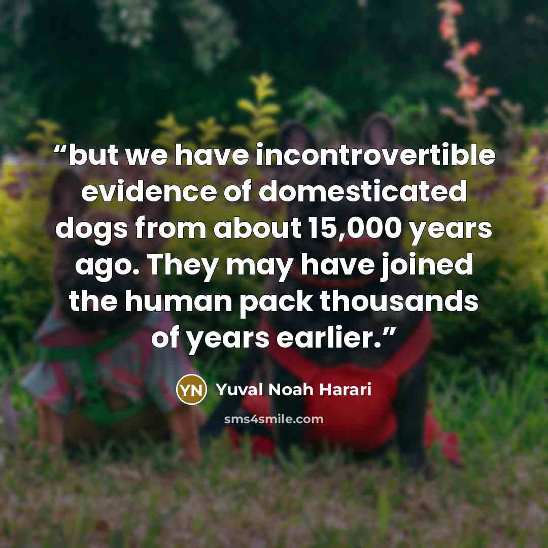 “but we have incontrovertible evidence of domesticated dogs from about 15,000 years ago. They may have joined the human pack thousands of years earlier.” quote by Yuval Noah Harari