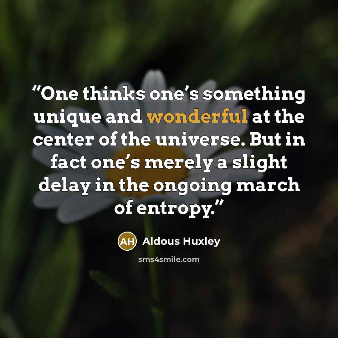 “One thinks one’s something unique and wonderful at the center of the universe. But in fact one’s merely a slight delay in the ongoing march of entropy.” quote by Aldous Huxley
