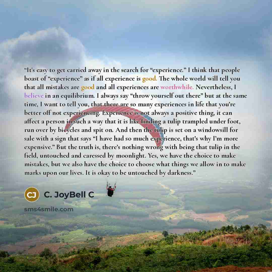 “It's easy to get carried away in the search for “experience.” I think that people boast of “experience” as if all experience is good. The whole world will tell you that all mistakes are good and all experiences are worthwhile. Nevertheless, I believe in an equilibrium. I always say “throw yourself…” quote by C. JoyBell C
