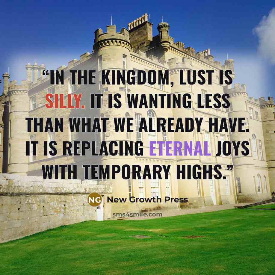 “in the kingdom, lust is silly. It is wanting less than what we already have. It is replacing eternal joys with temporary highs.” quote by New Growth Press