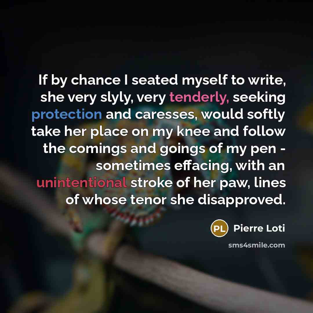“If by chance I seated myself to write, she very slyly, very tenderly, seeking protection and caresses, would softly take her place on my knee and follow the comings and goings of my pen - sometimes effacing, with an unintentional stroke of her paw, lines of whose tenor she disapproved.” quote by Pierre Loti