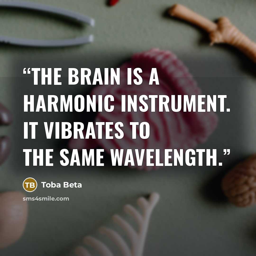 “The brain is a harmonic instrument. It vibrates to the same wavelength.” quote by Toba Beta