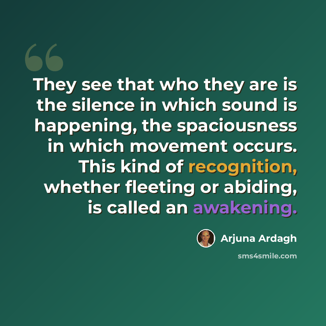 “They see that who they are is the silence in which sound is happening, the spaciousness in which movement occurs. This kind of recognition, whether fleeting or abiding, is called an awakening.” quote by Arjuna Ardagh