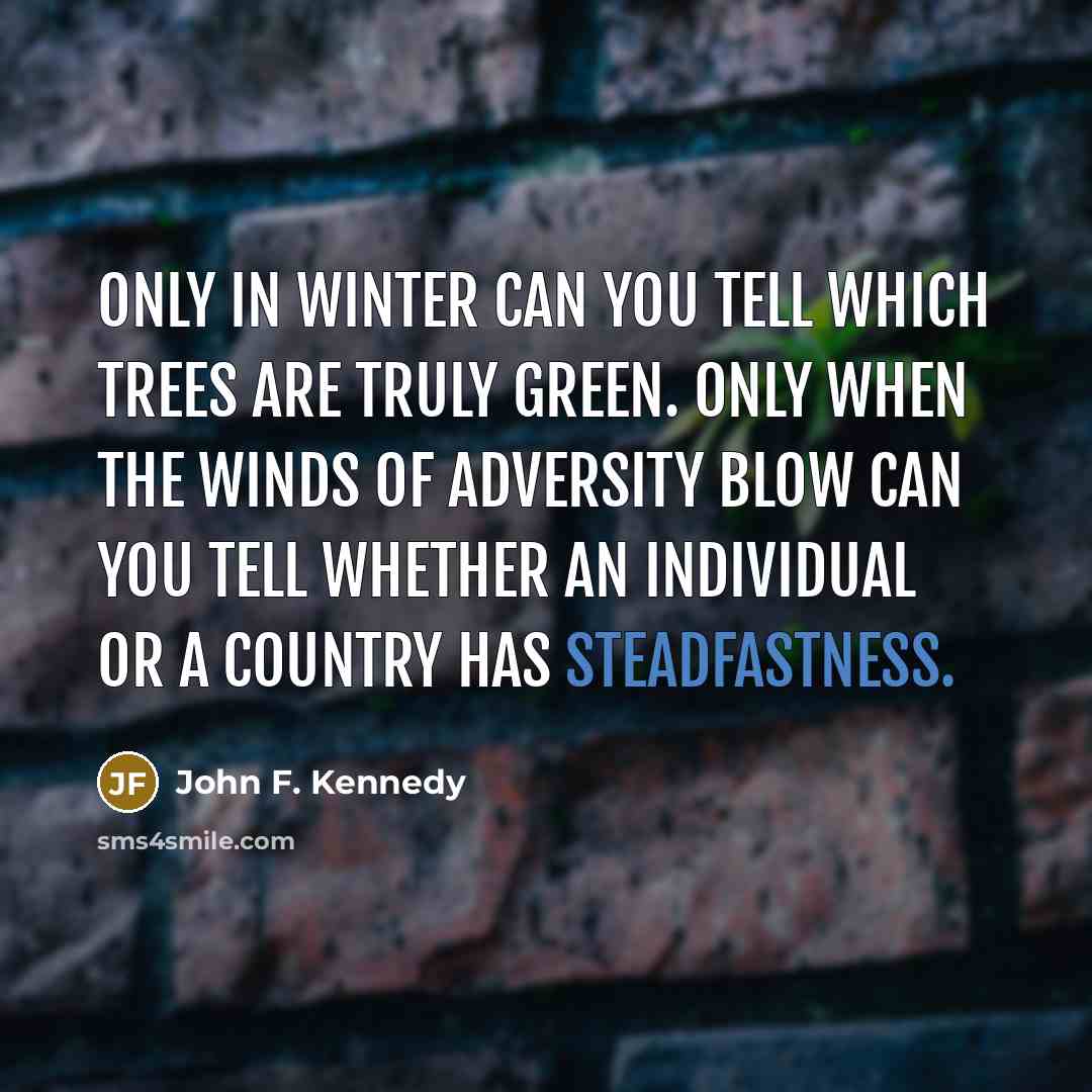 “Only in winter can you tell which trees are truly green. Only when the winds of adversity blow can you tell whether an individual or a country has steadfastness.” quote by John F. Kennedy