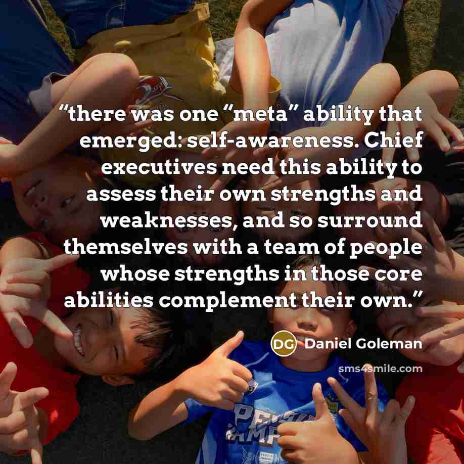 “there was one “meta” ability that emerged: self-awareness. Chief executives need this ability to assess their own strengths and weaknesses, and so surround themselves with a team of people whose strengths in those core abilities complement their own.” quote by Daniel Goleman