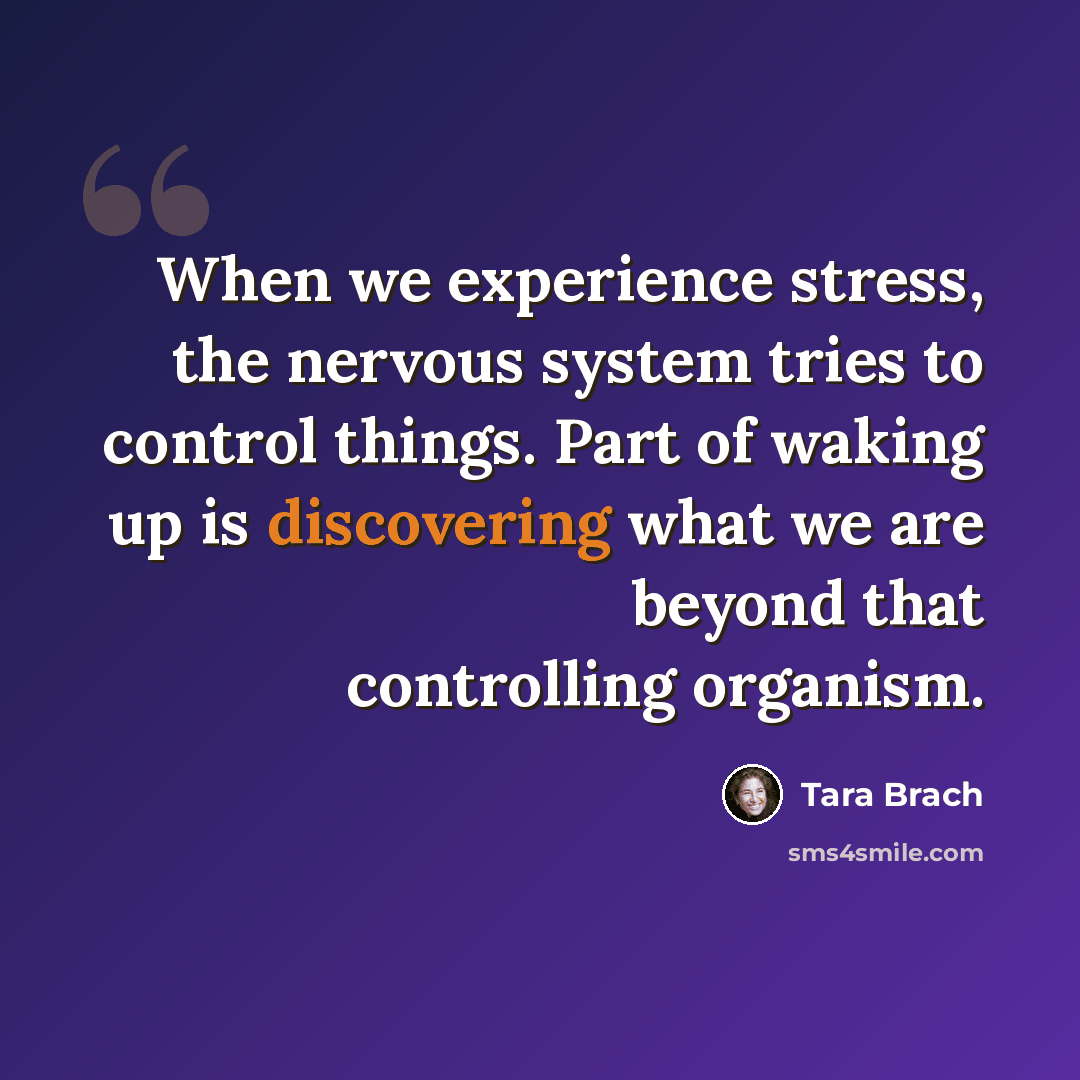 “When we experience stress, the nervous system tries to control things. Part of waking up is discovering what we are beyond that controlling organism.” quote by Tara Brach