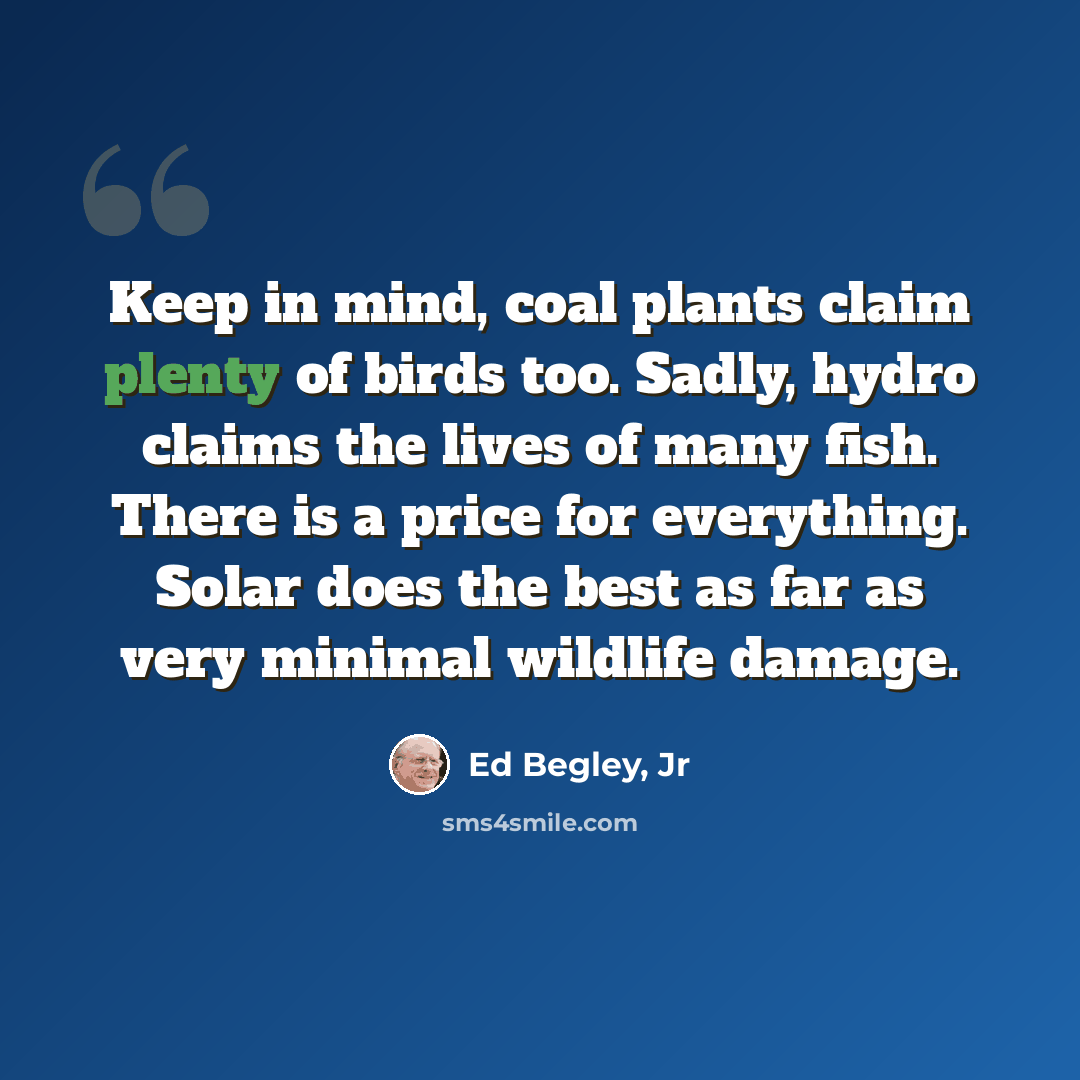 “Keep in mind, coal plants claim plenty of birds too. Sadly, hydro claims the lives of many fish. There is a price for everything. Solar does the best as far as very minimal wildlife damage.” quote by Ed Begley, Jr