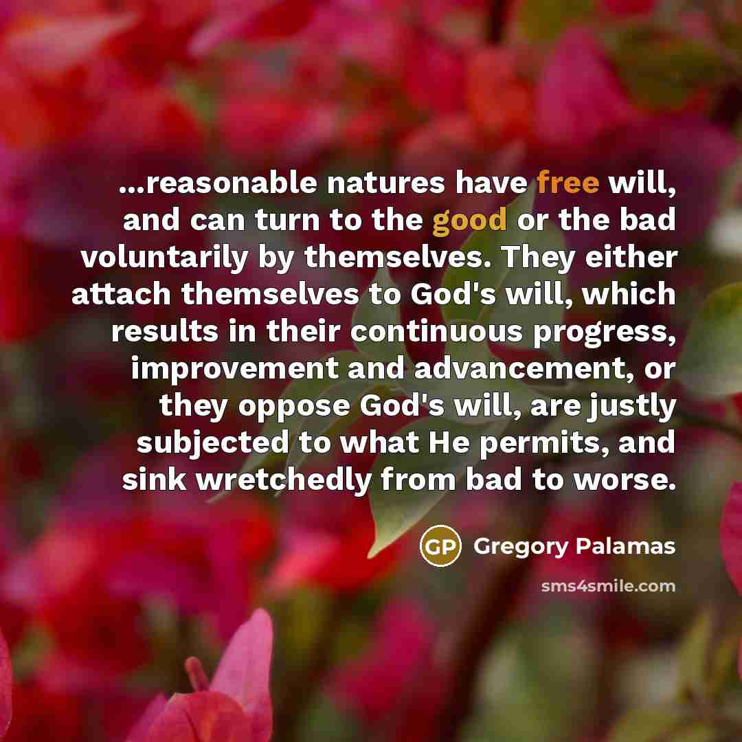 “...reasonable natures have free will, and can turn to the good or the bad voluntarily by themselves. They either attach themselves to God's will, which results in their continuous progress, improvement and advancement, or they oppose God's will, are justly subjected to what He permits, and sink…” quote by Gregory Palamas