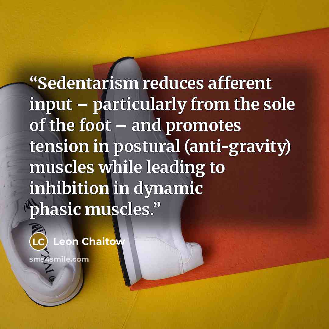 “Sedentarism reduces afferent input – particularly from the sole of the foot – and promotes tension in postural (anti-gravity) muscles while leading to inhibition in dynamic phasic muscles.” quote by Leon Chaitow