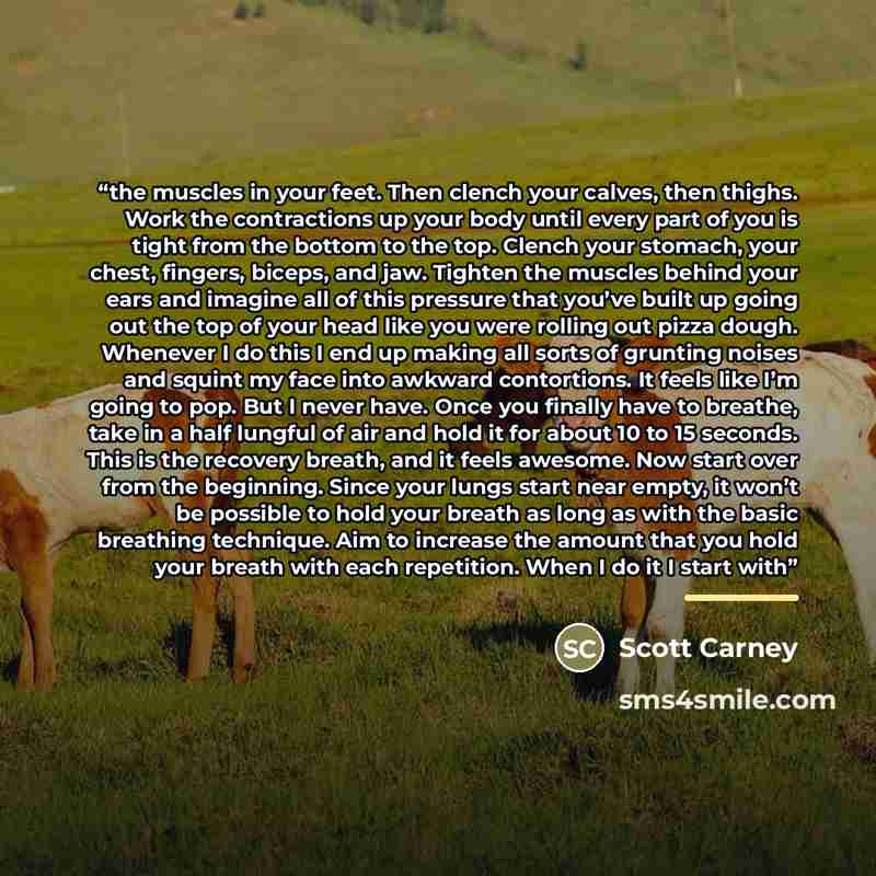“the muscles in your feet. Then clench your calves, then thighs. Work the contractions up your body until every part of you is tight from the bottom to the top. Clench your stomach, your chest, fingers, biceps, and jaw. Tighten the muscles behind your ears and imagine all of this pressure that…” quote by Scott Carney