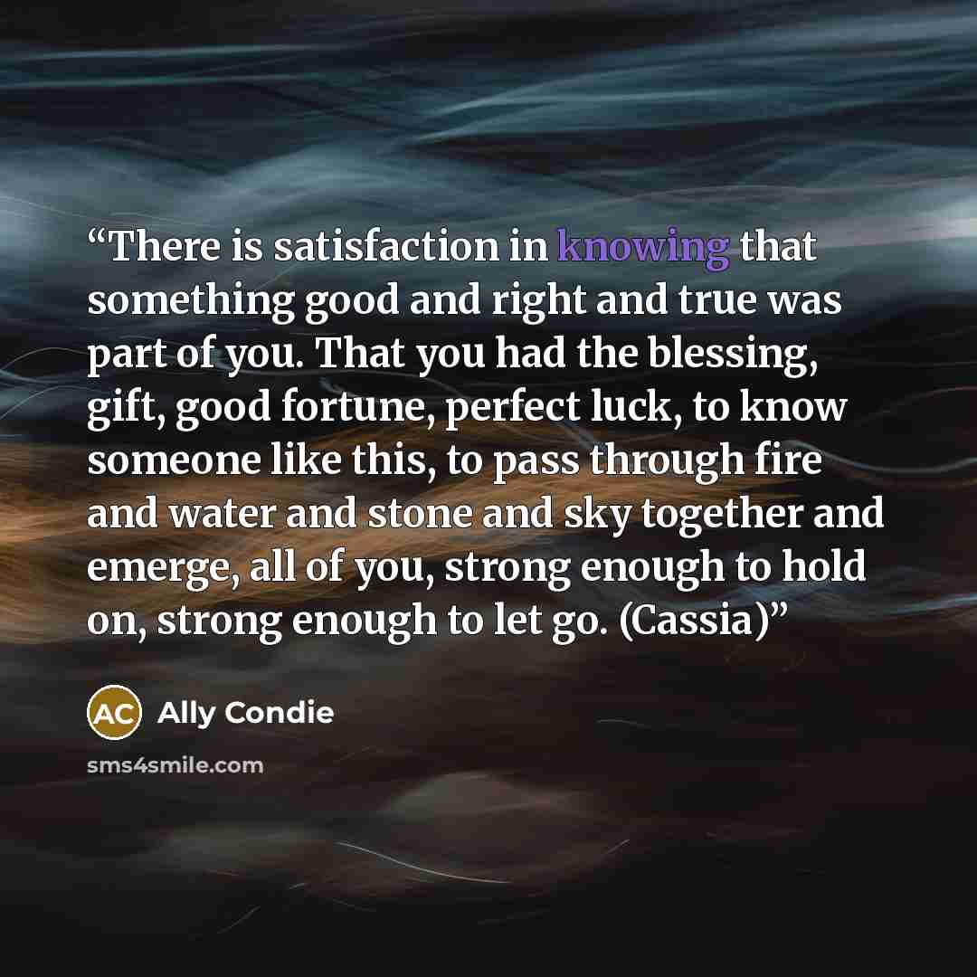 “There is satisfaction in knowing that something good and right and true was part of you. That you had the blessing, gift, good fortune, perfect luck, to know someone like this, to pass through fire and water and stone and sky together and emerge, all of you, strong enough to hold on, strong enough…” quote by Ally Condie