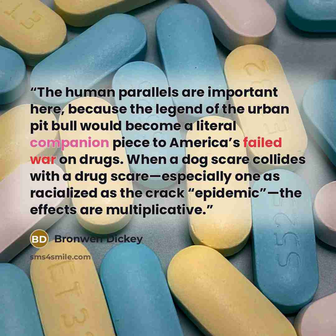 “The human parallels are important here, because the legend of the urban pit bull would become a literal companion piece to America’s failed war on drugs. When a dog scare collides with a drug scare—especially one as racialized as the crack “epidemic”—the effects are multiplicative.” quote by Bronwen Dickey