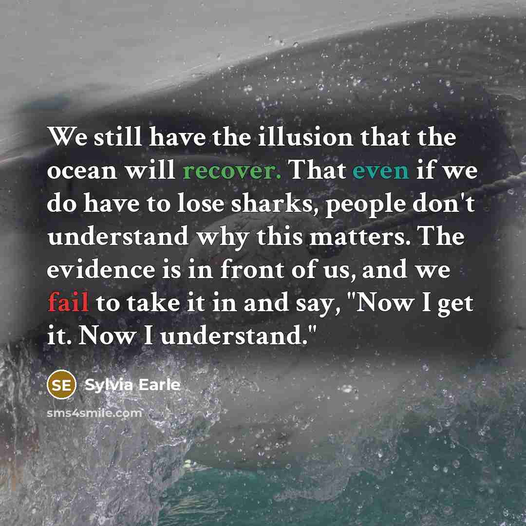 “We still have the illusion that the ocean will recover. That even if we do have to lose sharks, people don't understand why this matters. The evidence is in front of us, and we fail to take it in and say, "Now I get it. Now I understand."” quote by Sylvia Earle