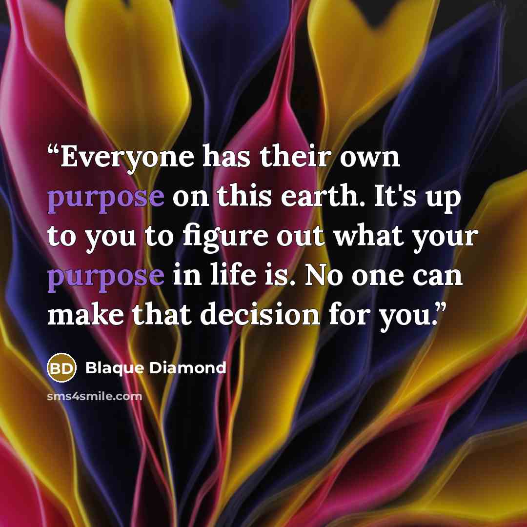 “Everyone has their own purpose on this earth. It's up to you to figure out what your purpose in life is. No one can make that decision for you.” quote by blaque diamond