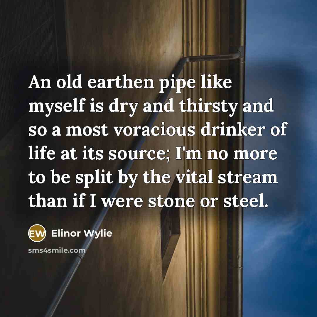 “An old earthen pipe like myself is dry and thirsty and so a most voracious drinker of life at its source; I'm no more to be split by the vital stream than if I were stone or steel.” quote by Elinor Wylie