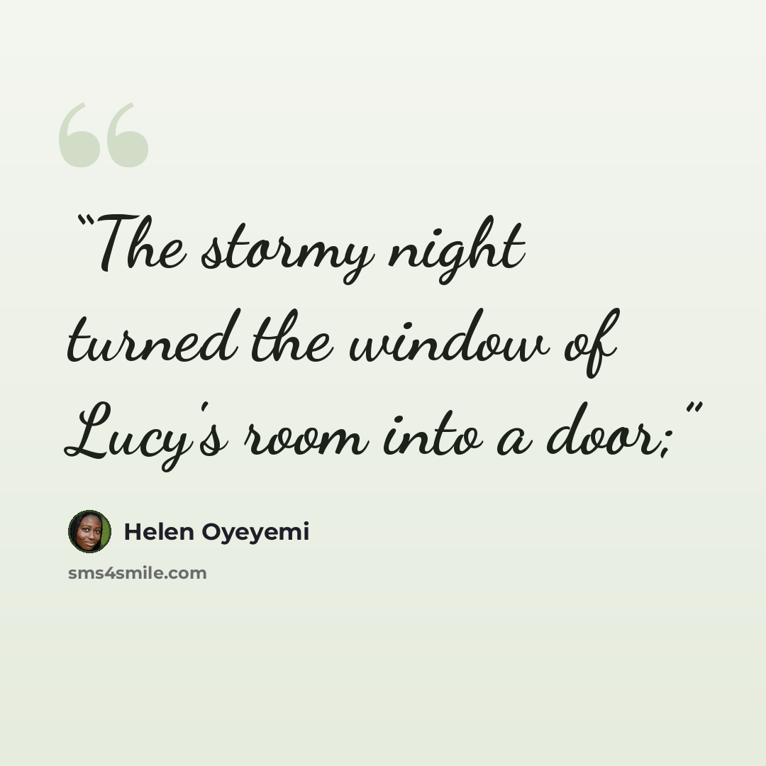 “The stormy night turned the window of Lucy's room into a door;” quote by Helen Oyeyemi