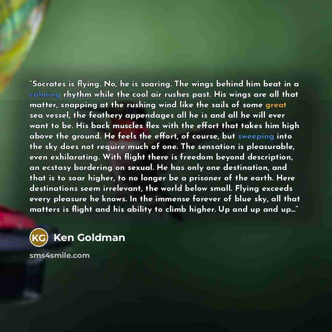 “Socrates is flying. No, he is soaring. The wings behind him beat in a calming rhythm while the cool air rushes past. His wings are all that matter, snapping at the rushing wind like the sails of some great sea vessel, the feathery appendages all he is and all he will ever want to be. His back…” quote by Ken Goldman