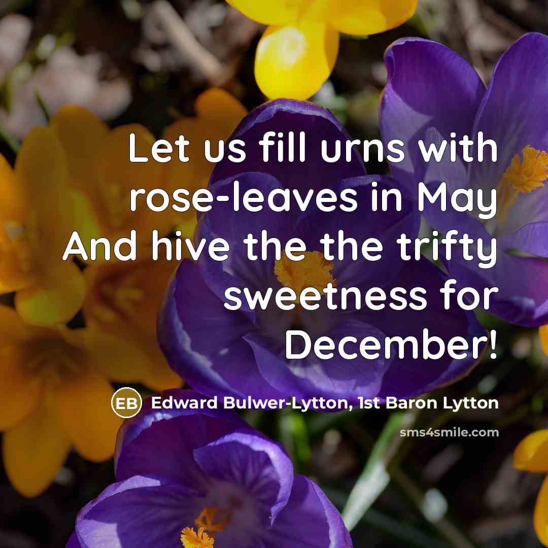 “Let us fill urns with rose-leaves in May And hive the the trifty sweetness for December!” quote by Edward Bulwer-Lytton, 1st Baron Lytton
