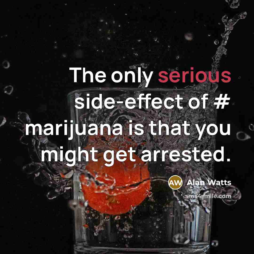 “The only serious side-effect of # marijuana is that you might get arrested.” quote by Alan Watts