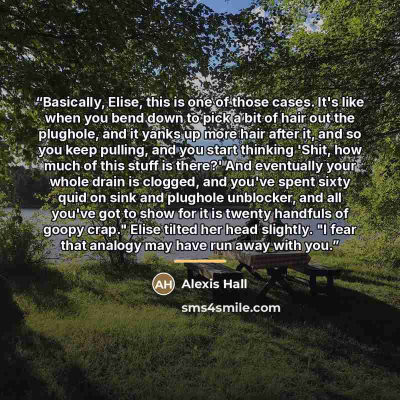 “Basically, Elise, this is one of those cases. It's like when you bend down to pick a bit of hair out the plughole, and it yanks up more hair after it, and so you keep pulling, and you start thinking 'Shit, how much of this stuff is there?' And eventually your whole drain is clogged, and you've…” quote by Alexis Hall