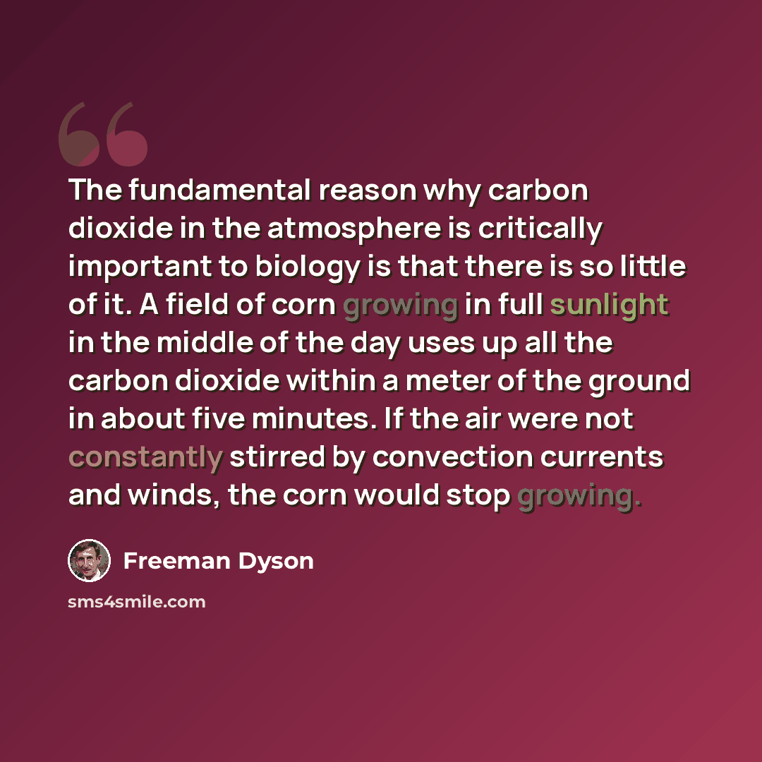 “The fundamental reason why carbon dioxide in the atmosphere is critically important to biology is that there is so little of it. A field of corn growing in full sunlight in the middle of the day uses up all the carbon dioxide within a meter of the ground in about five minutes. If the air were not…” quote by Freeman Dyson