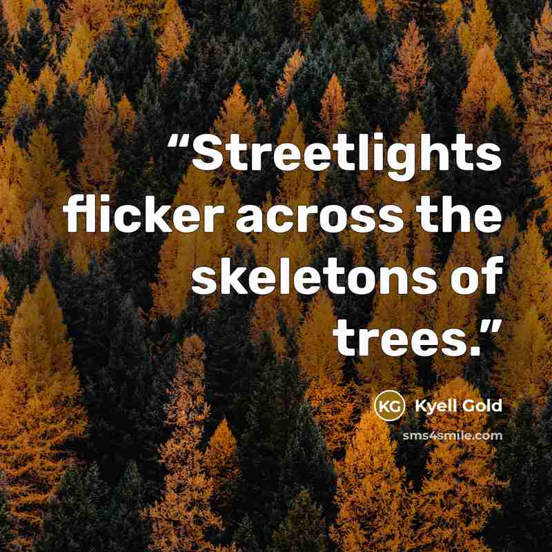 “Streetlights flicker across the skeletons of trees.” quote by Kyell Gold