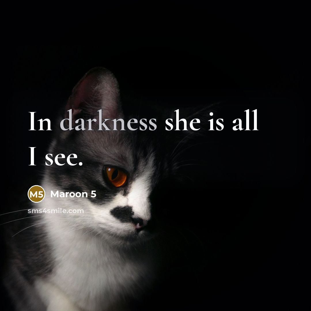 “In darkness she is all I see.” quote by Maroon 5
