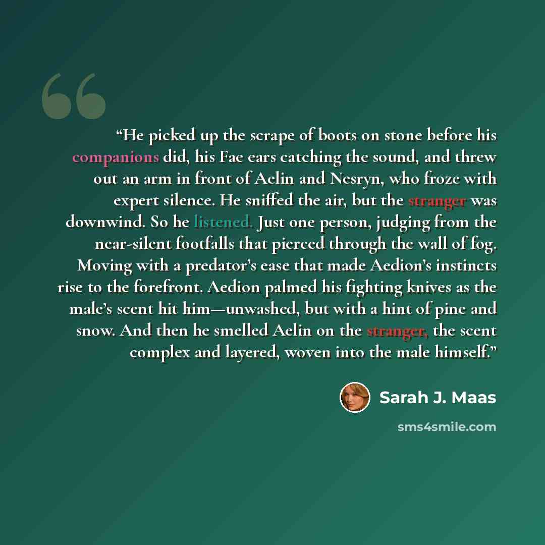 “He picked up the scrape of boots on stone before his companions did, his Fae ears catching the sound, and threw out an arm in front of Aelin and Nesryn, who froze with expert silence. He sniffed the air, but the stranger was downwind. So he listened. Just one person, judging from the near-silent…” quote by Sarah J. Maas