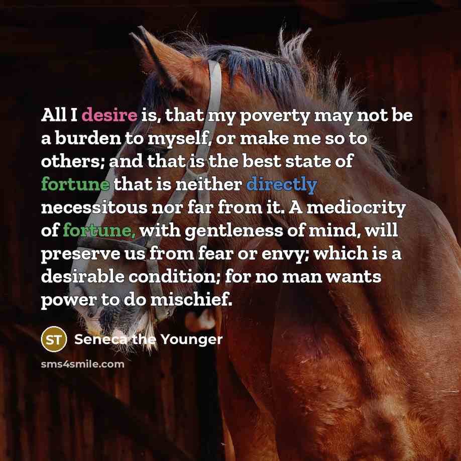 “All I desire is, that my poverty may not be a burden to myself, or make me so to others; and that is the best state of fortune that is neither directly necessitous nor far from it. A mediocrity of fortune, with gentleness of mind, will preserve us from fear or envy; which is a desirable condition…” quote by Seneca the Younger