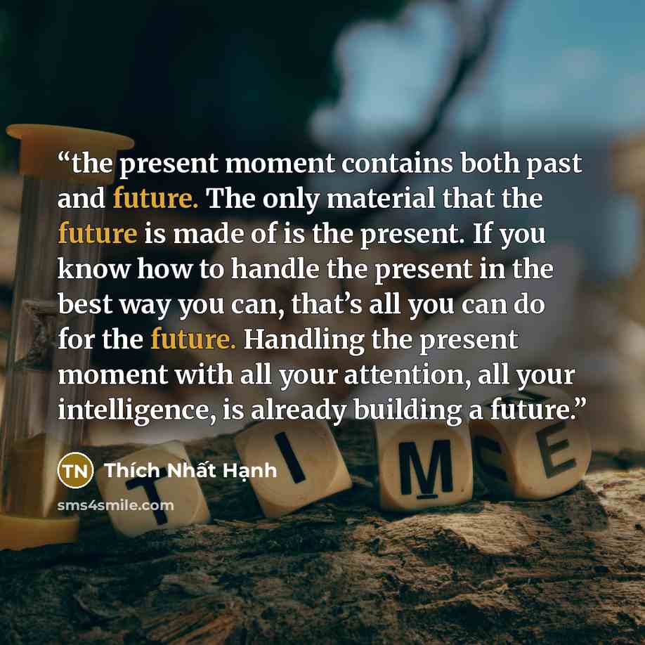 “the present moment contains both past and future. The only material that the future is made of is the present. If you know how to handle the present in the best way you can, that’s all you can do for the future. Handling the present moment with all your attention, all your intelligence, is already…” quote by Thich Nhat Hanh