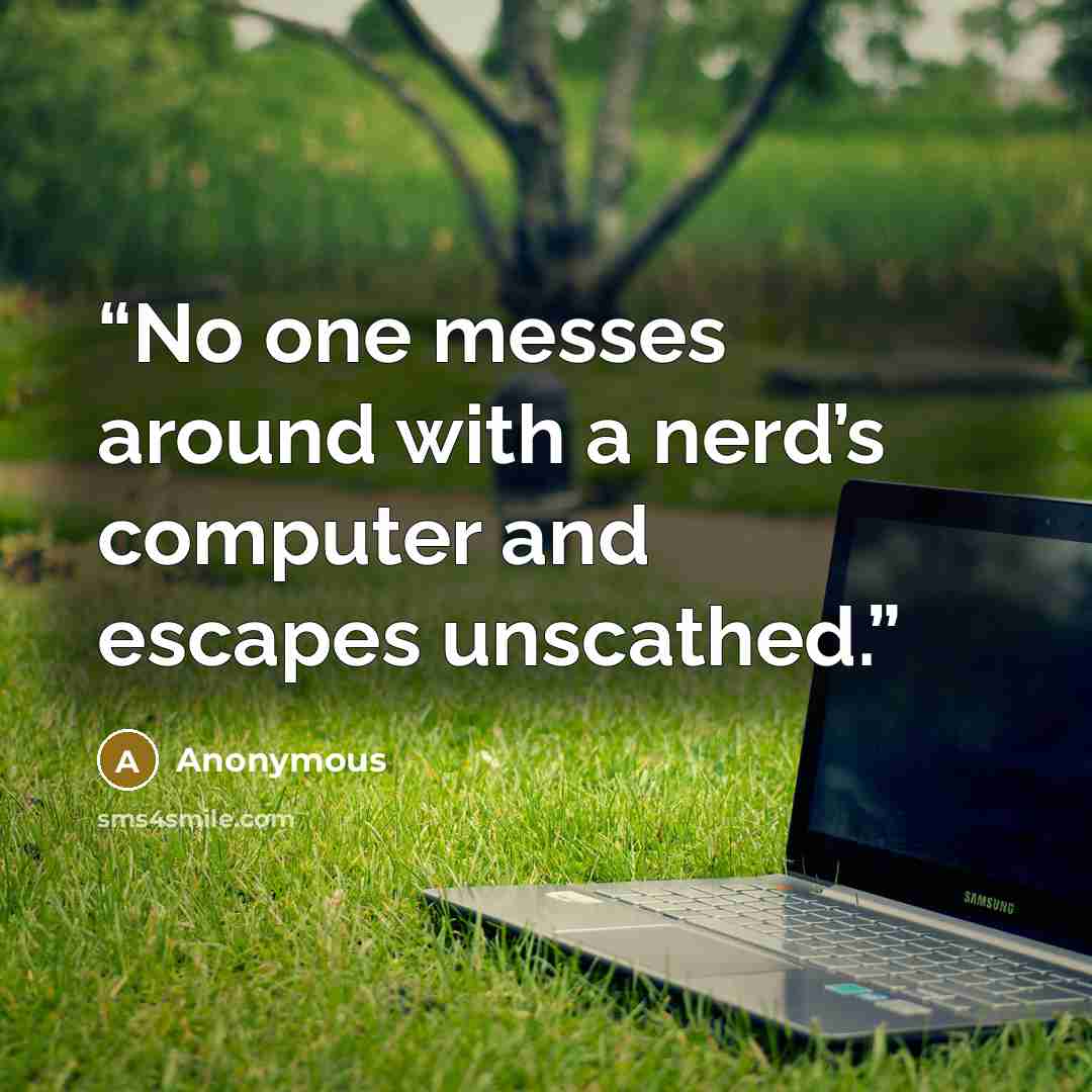 “No one messes around with a nerd’s computer and escapes unscathed.” quote by Anonymous