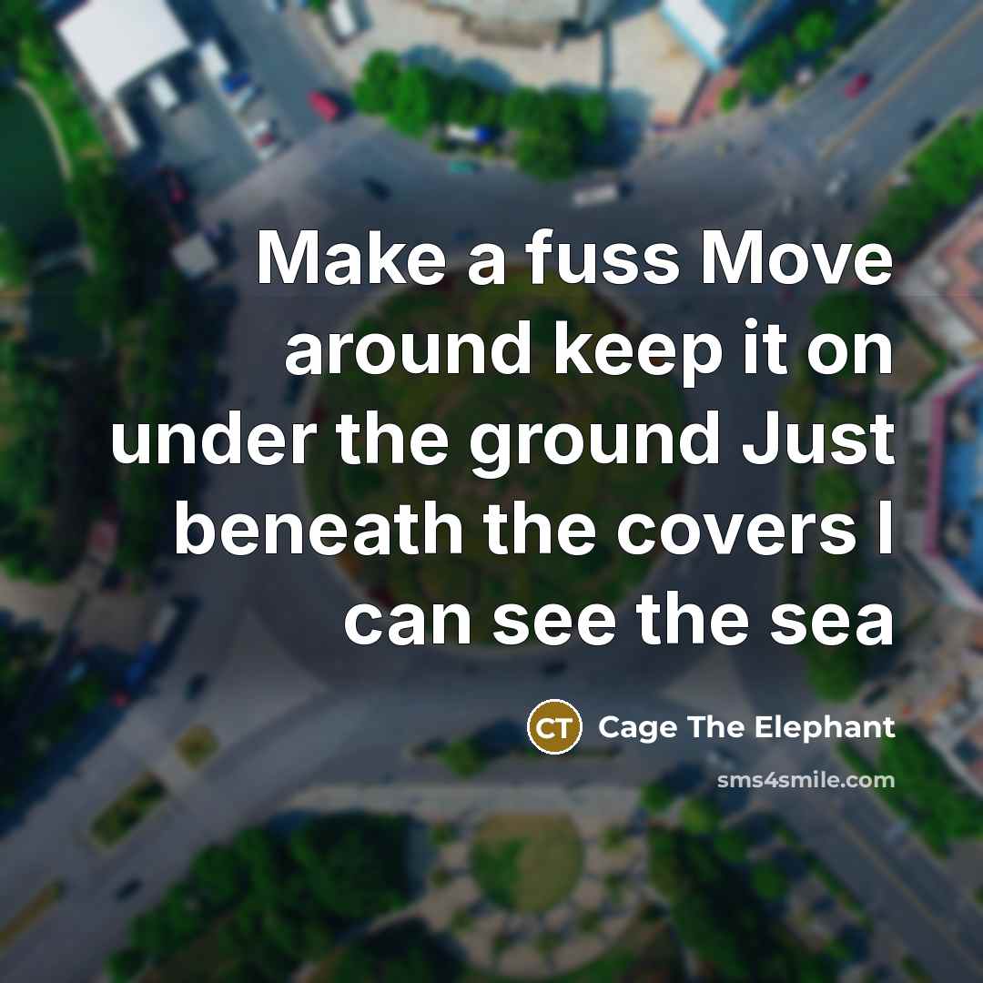 “Make a fuss Move around keep it on under the ground Just beneath the covers I can see the sea” quote by Cage The Elephant