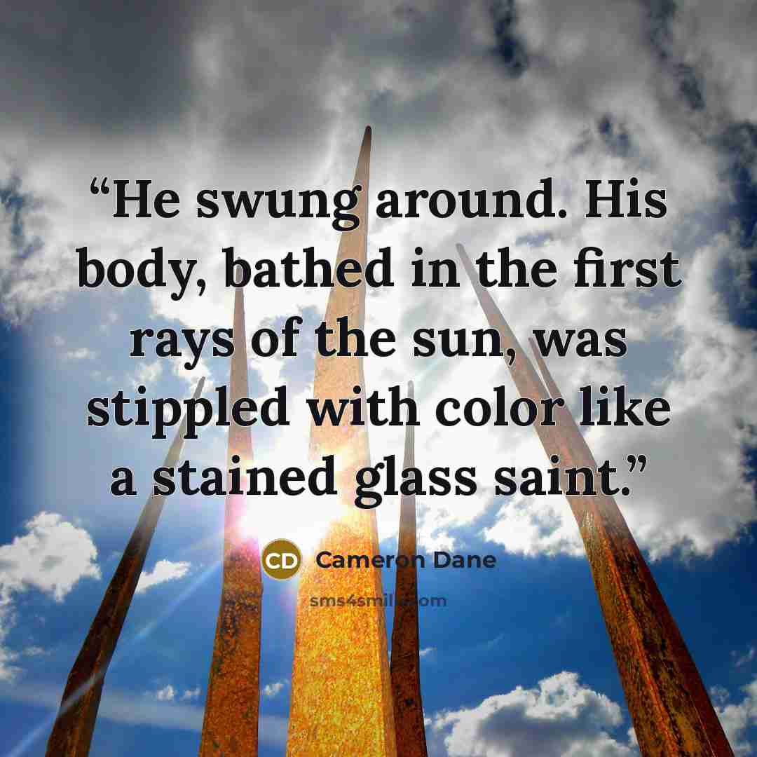 “He swung around. His body, bathed in the first rays of the sun, was stippled with color like a stained glass saint.” quote by Cameron Dane