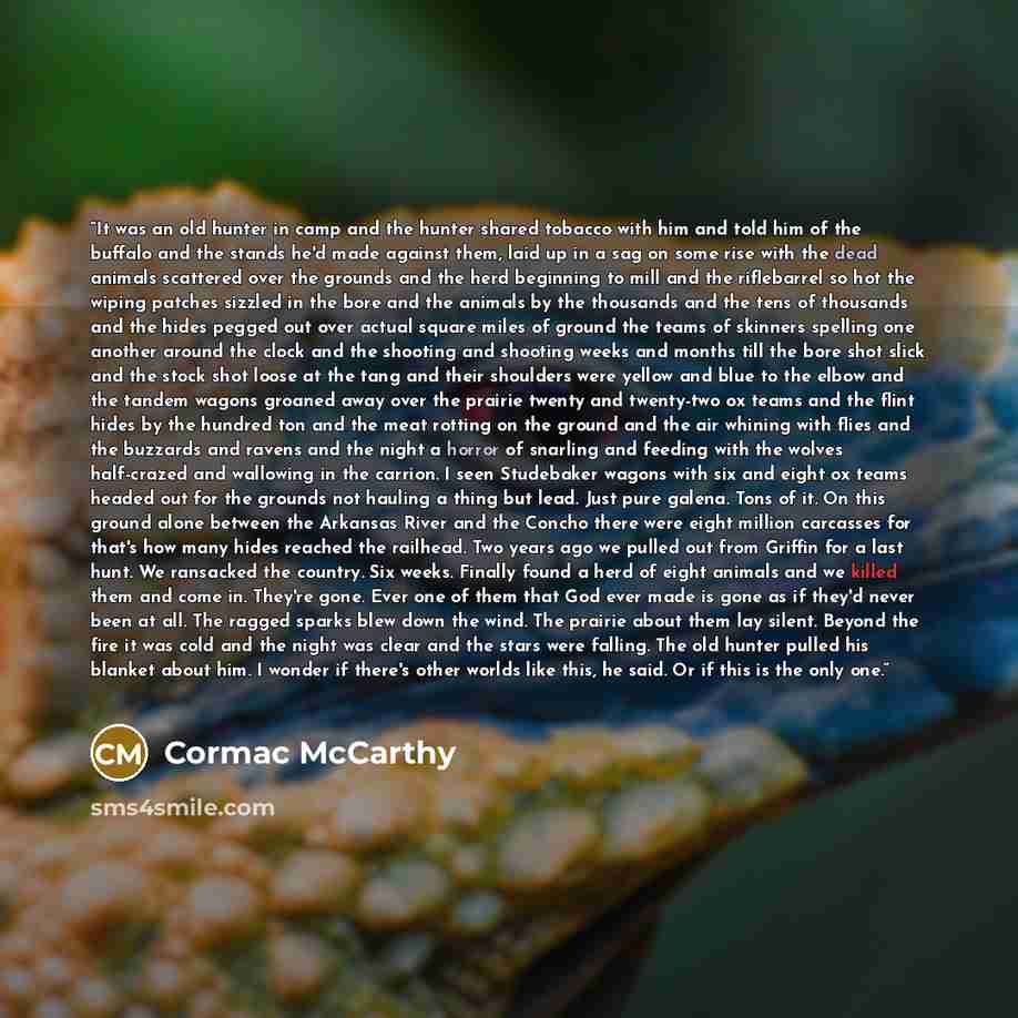 “It was an old hunter in camp and the hunter shared tobacco with him and told him of the buffalo and the stands he'd made against them, laid up in a sag on some rise with the dead animals scattered over the grounds and the herd beginning to mill and the riflebarrel so hot the wiping patches sizzled…” quote by Cormac McCarthy
