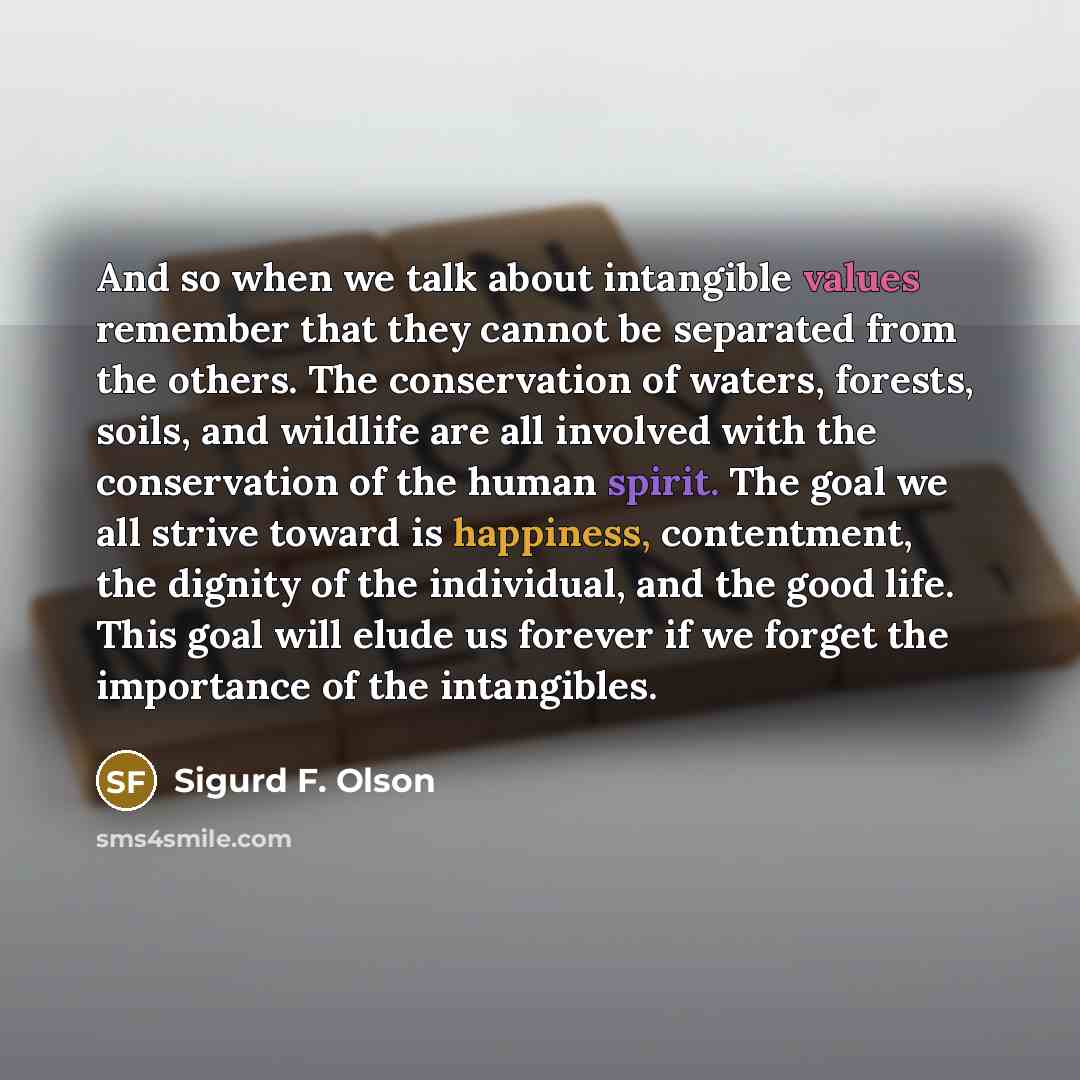 “And so when we talk about intangible values remember that they cannot be separated from the others. The conservation of waters, forests, soils, and wildlife are all involved with the conservation of the human spirit. The goal we all strive toward is happiness, contentment, the dignity of the…” quote by Sigurd F. Olson