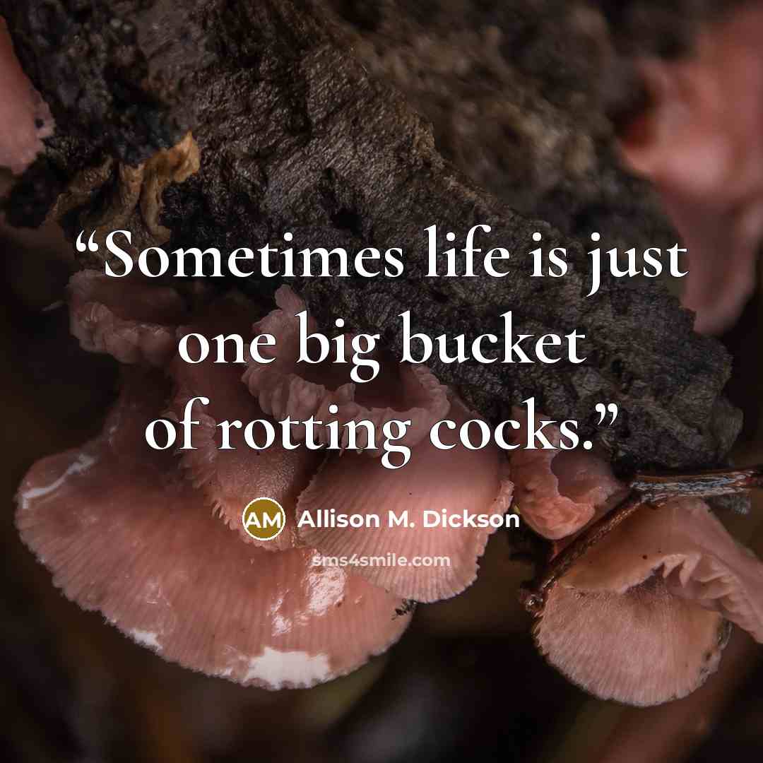 “Sometimes life is just one big bucket of rotting cocks.” quote by Allison M. Dickson