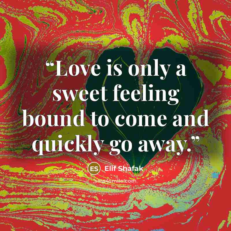 “Love is only a sweet feeling bound to come and quickly go away.” quote by Elif Shafak