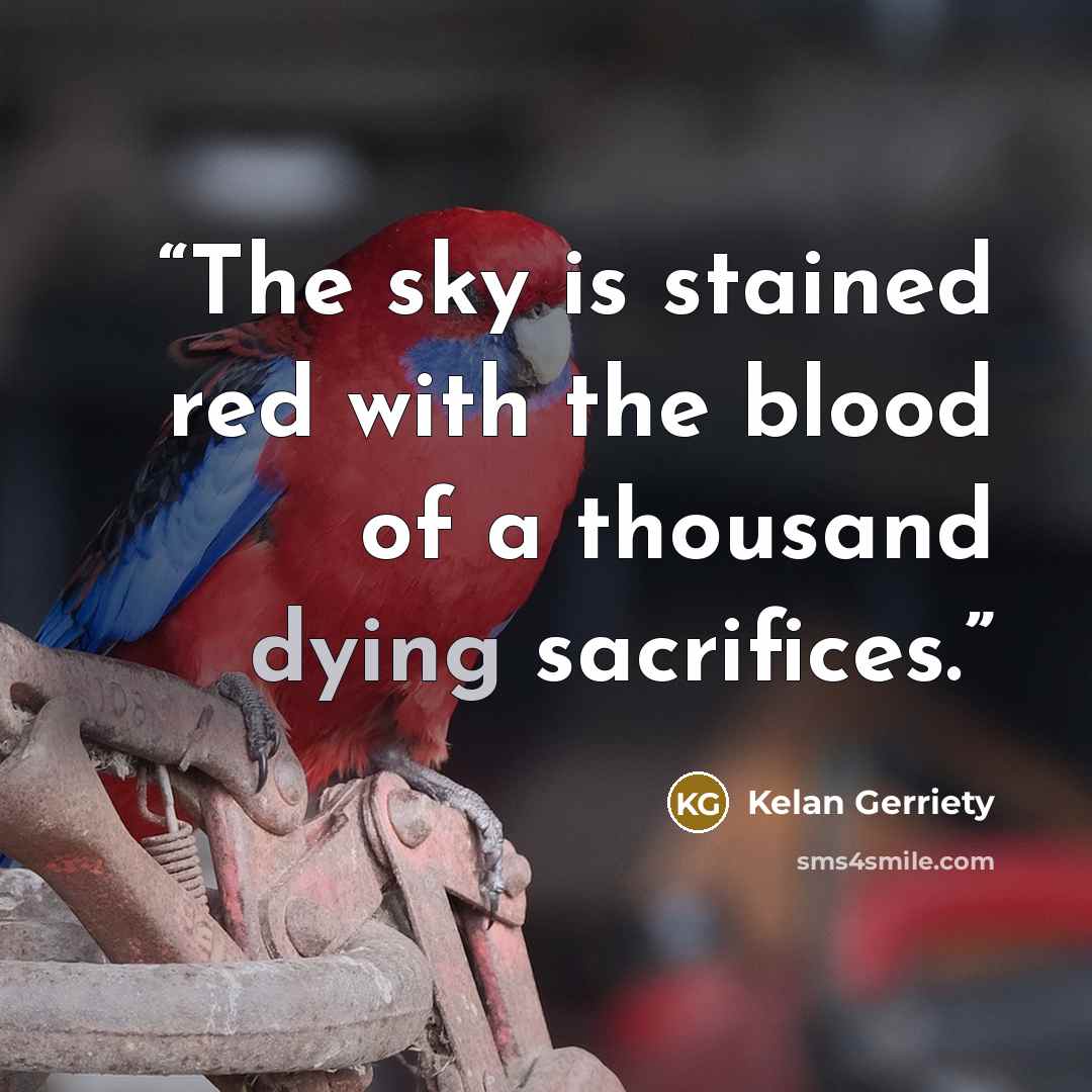 “The sky is stained red with the blood of a thousand dying sacrifices.” quote by Kelan Gerriety