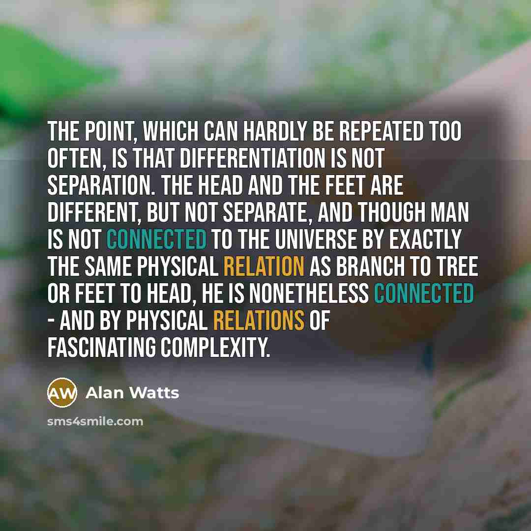 “The point, which can hardly be repeated too often, is that differentiation is not separation. The head and the feet are different, but not separate, and though man is not connected to the universe by exactly the same physical relation as branch to tree or feet to head, he is nonetheless connected…” quote by Alan Watts
