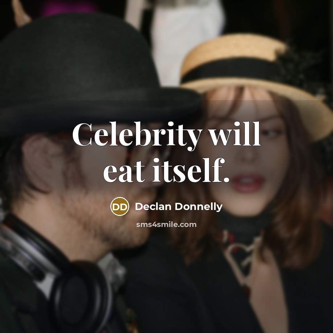 “Celebrity will eat itself.” quote by Declan Donnelly