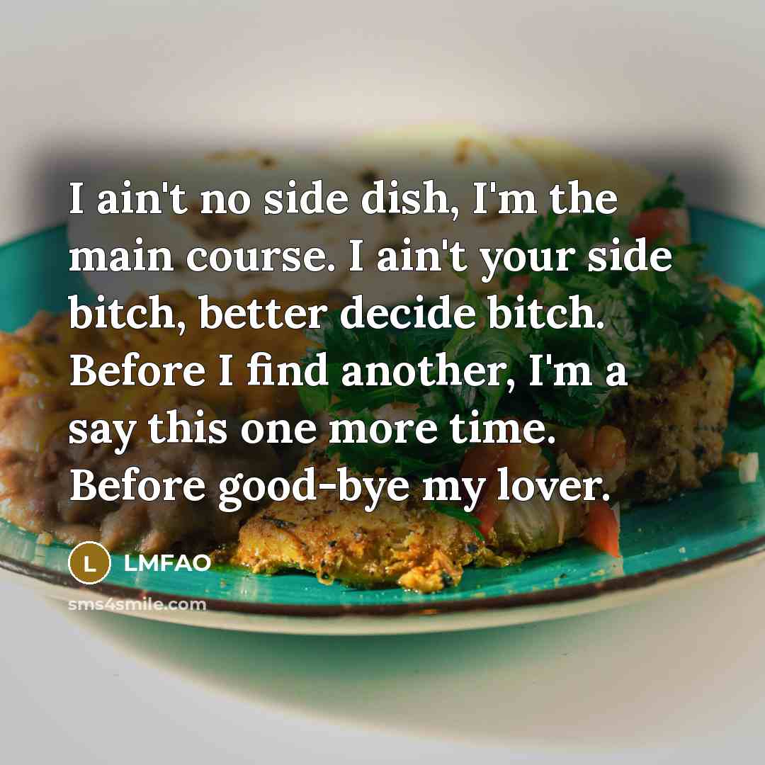 “I ain't no side dish, I'm the main course. I ain't your side bitch, better decide bitch. Before I find another, I'm a say this one more time. Before good-bye my lover.” quote by Lmfao