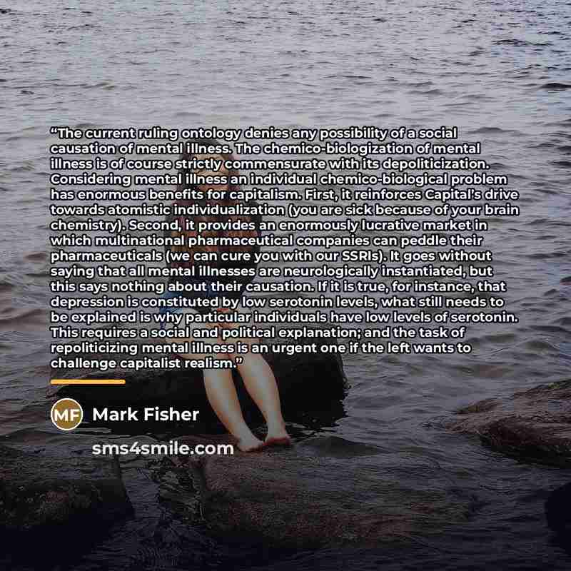 “The current ruling ontology denies any possibility of a social causation of mental illness. The chemico-biologization of mental illness is of course strictly commensurate with its depoliticization. Considering mental illness an individual chemico-biological problem has enormous benefits for…” quote by Mark Fisher