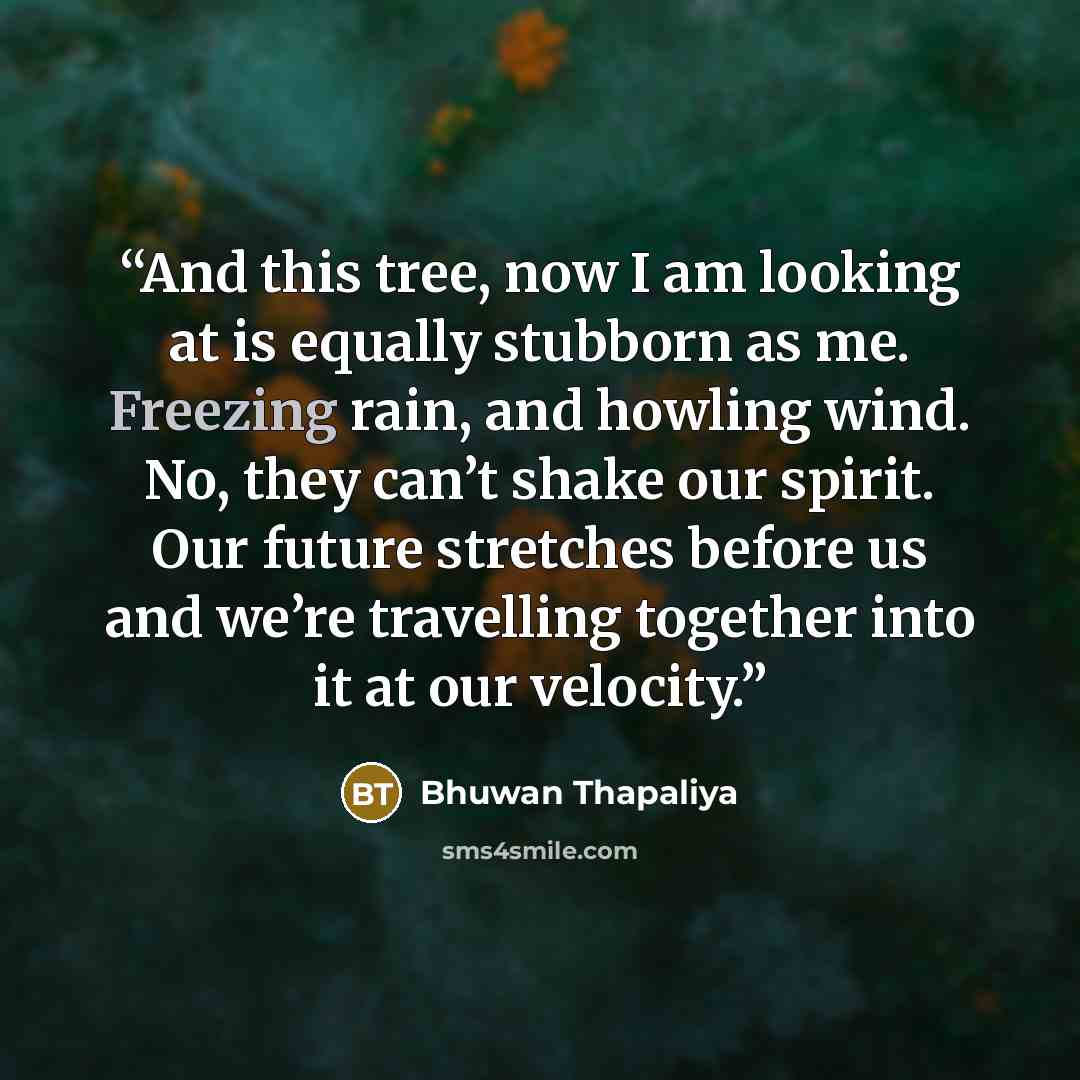 “And this tree, now I am looking at is equally stubborn as me. Freezing rain, and howling wind. No, they can’t shake our spirit. Our future stretches before us and we’re travelling together into it at our velocity.” quote by Bhuwan Thapaliya