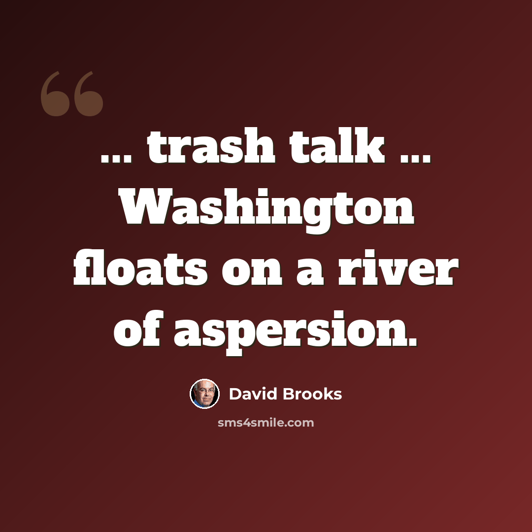 “... trash talk ... Washington floats on a river of aspersion.” quote by David Brooks