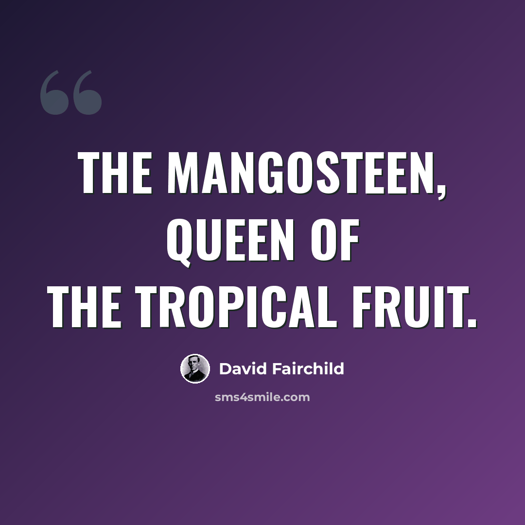 “The mangosteen, queen of the tropical fruit.” quote by David Fairchild