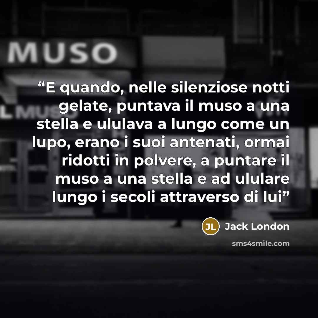 “E quando, nelle silenziose notti gelate, puntava il muso a una stella e ululava a lungo come un lupo, erano i suoi antenati, ormai ridotti in polvere, a puntare il muso a una stella e ad ululare lungo i secoli attraverso di lui” quote by Jack London