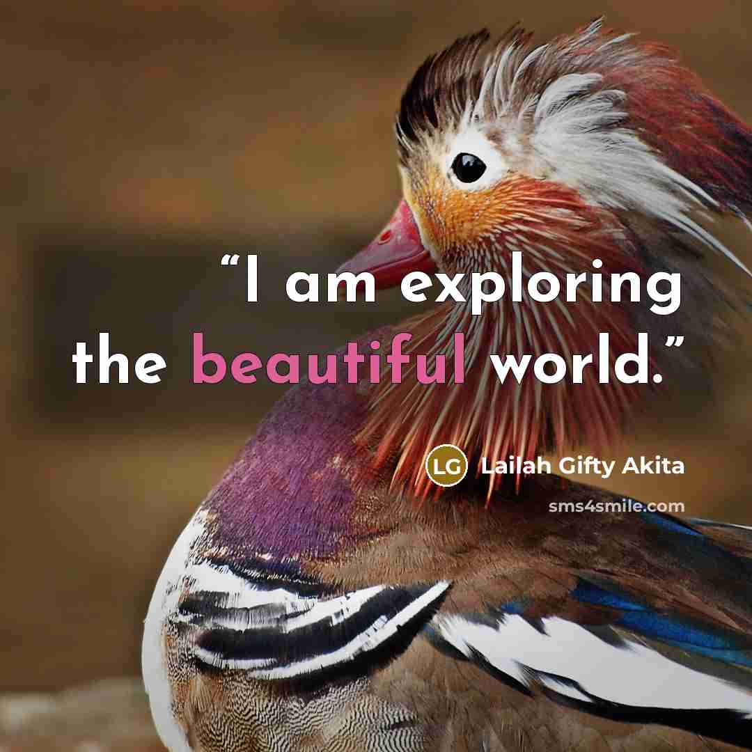 “I am exploring the beautiful world.” quote by Lailah Gifty Akita