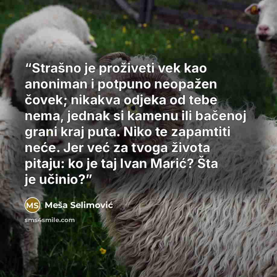 “Strašno je proživeti vek kao anoniman i potpuno neopažen čovek; nikakva odjeka od tebe nema, jednak si kamenu ili bačenoj grani kraj puta. Niko te zapamtiti neće. Jer već za tvoga života pitaju: ko je taj Ivan Marić? Šta je učinio?” quote by Meša Selimović