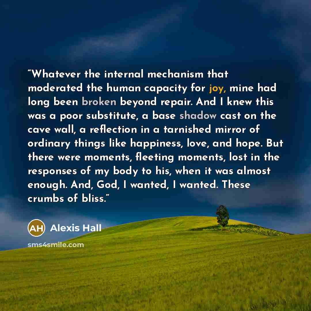 “Whatever the internal mechanism that moderated the human capacity for joy, mine had long been broken beyond repair. And I knew this was a poor substitute, a base shadow cast on the cave wall, a reflection in a tarnished mirror of ordinary things like happiness, love, and hope. But there were…” quote by Alexis Hall
