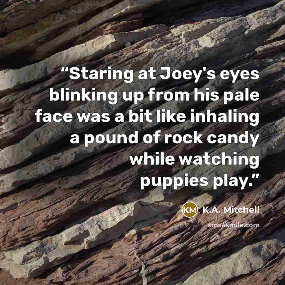 “Staring at Joey's eyes blinking up from his pale face was a bit like inhaling a pound of rock candy while watching puppies play.” quote by K.A. Mitchell
